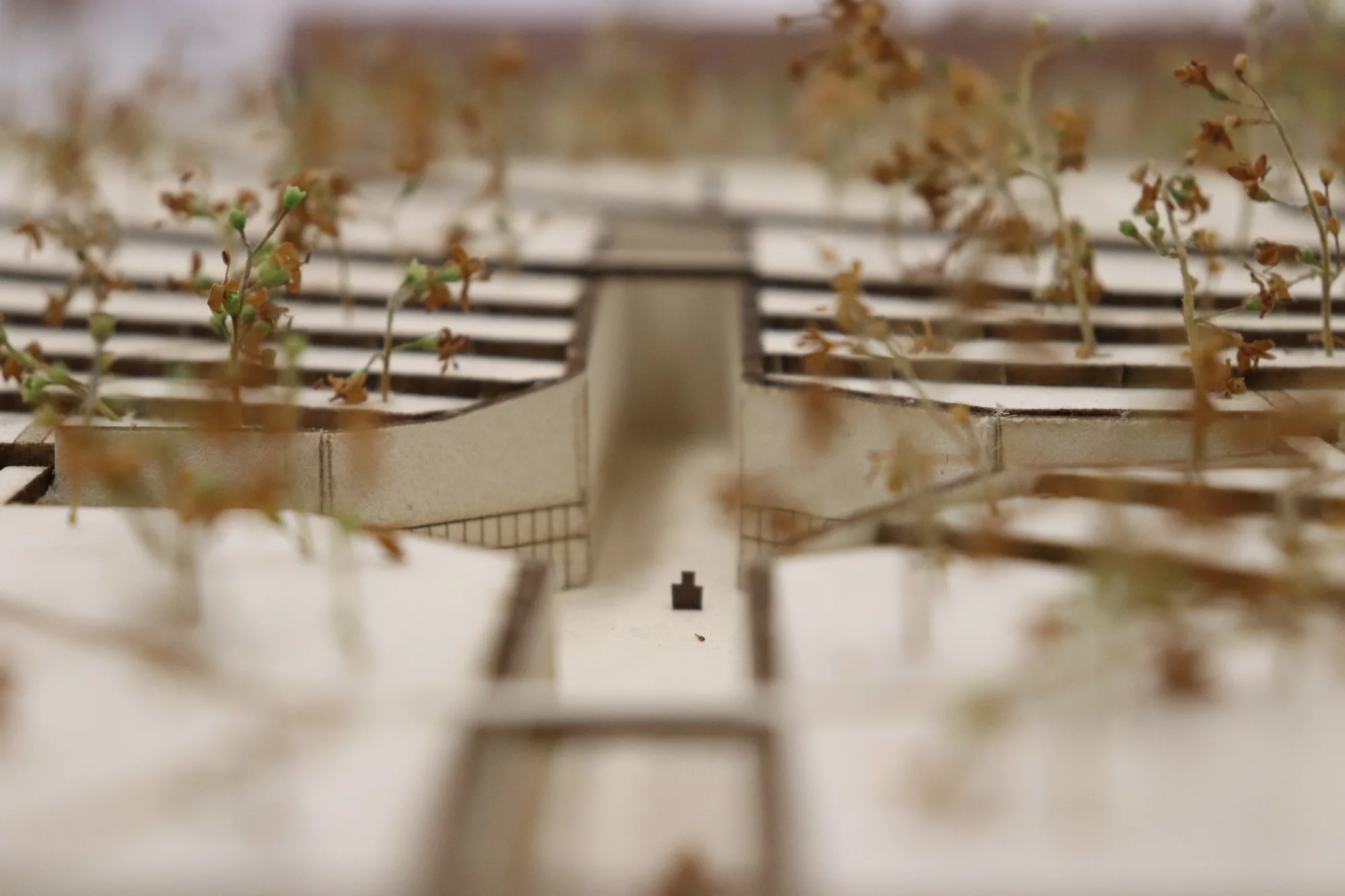 Art hub - model, náměstí zblízka